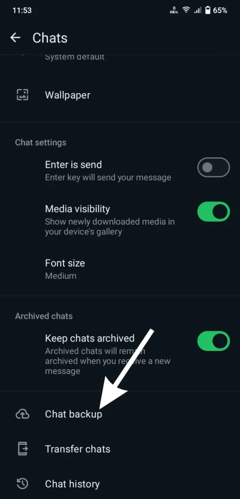 4. Tap on Chat Backup.